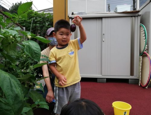 「夏のおもいで　～お野菜収穫編」