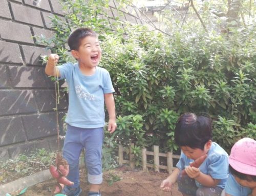 「秋のおもいで～お芋掘り編～」